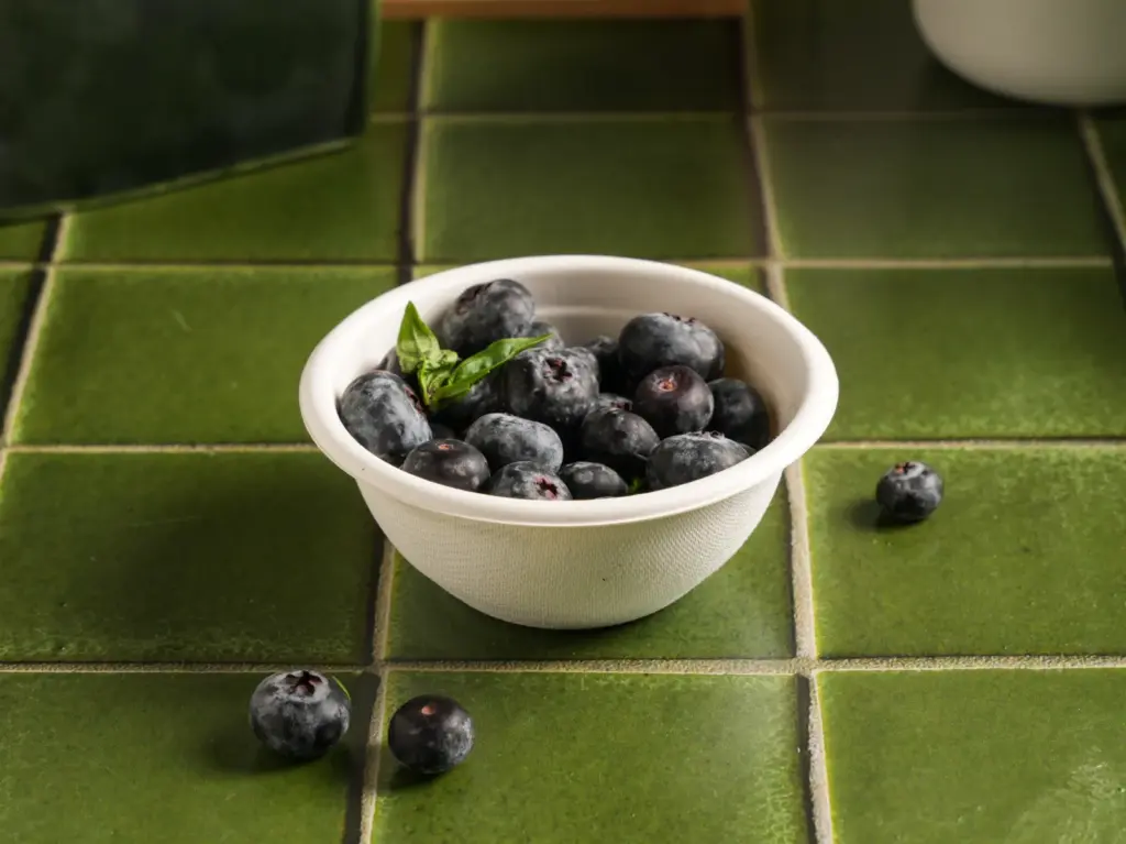 240ml Round Bagasse Bowl - eco-friendly bagasse disposable tableware (7)
