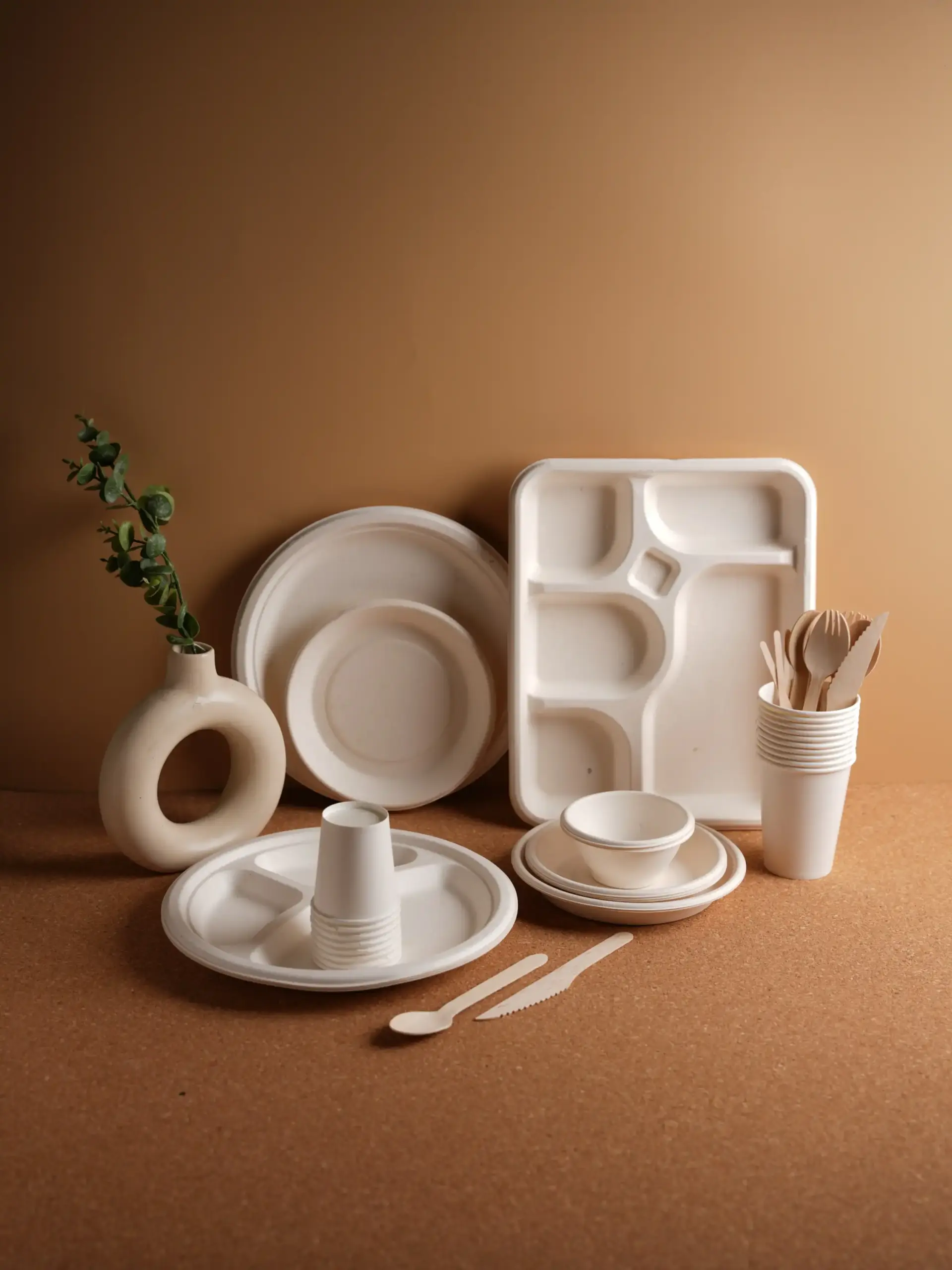 10 inch Round Plate - eco-friendly bagasse disposable tableware (4)