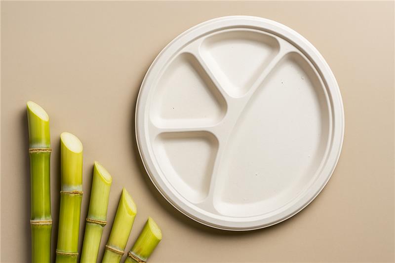 4 compartment Bagasse Compartment Plates