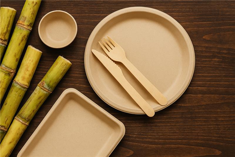bagasse disposable plate